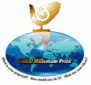 Global Millennium Prize